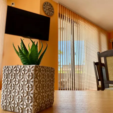 Appartement Cozy - St6 *