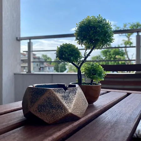 Cozy - St6 Apartman *